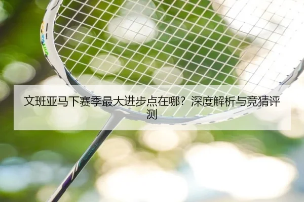 文班亚马下赛季最大进步点在哪？深度解析与竞猜评测